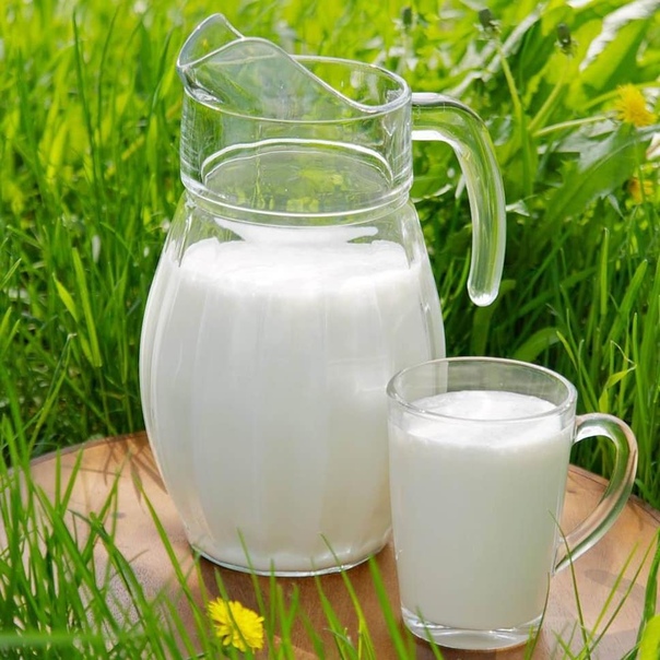 Полезно молоко деревенское: Деревенское молоко польза и вред | ВОЛОКОНОВСКИЙ РАЙОН